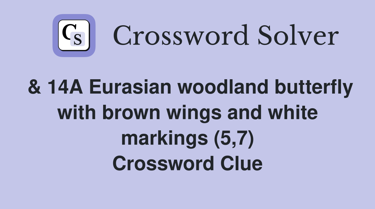 & 14A Eurasian woodland butterfly with brown wings and white markings